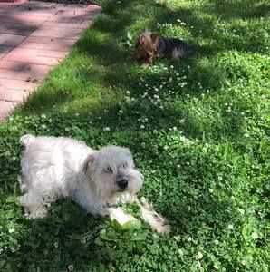 Meet your Posher, Diego